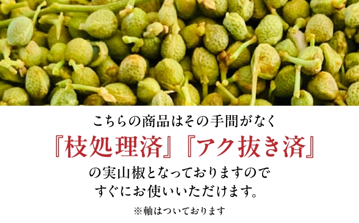 実山椒 青実山椒 山椒 下処理済み アク抜き済み 枝処理済み 下処理なし 小分けパック 真空パック 冷凍 長期保存 ストック