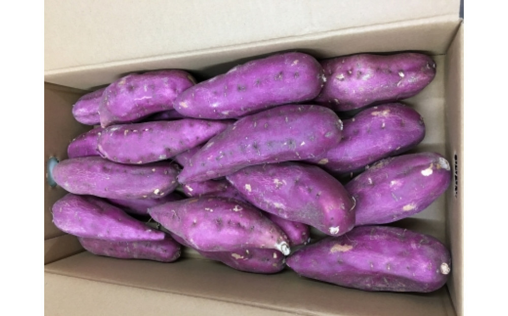 ＜2026年8月下旬以降発送・先行予約＞ホクホク系さつまいも「坂出金時いも」　約5kg