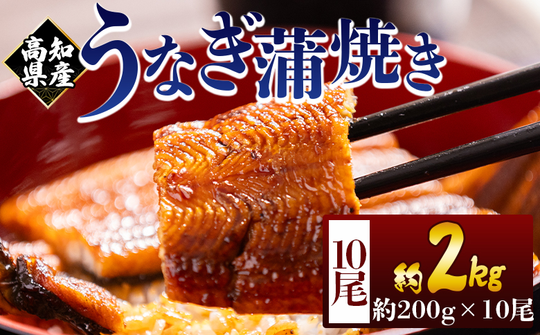 高知県産蒲焼きうなぎ ２００ｇ １０尾 計２０００ｇ fb-0165