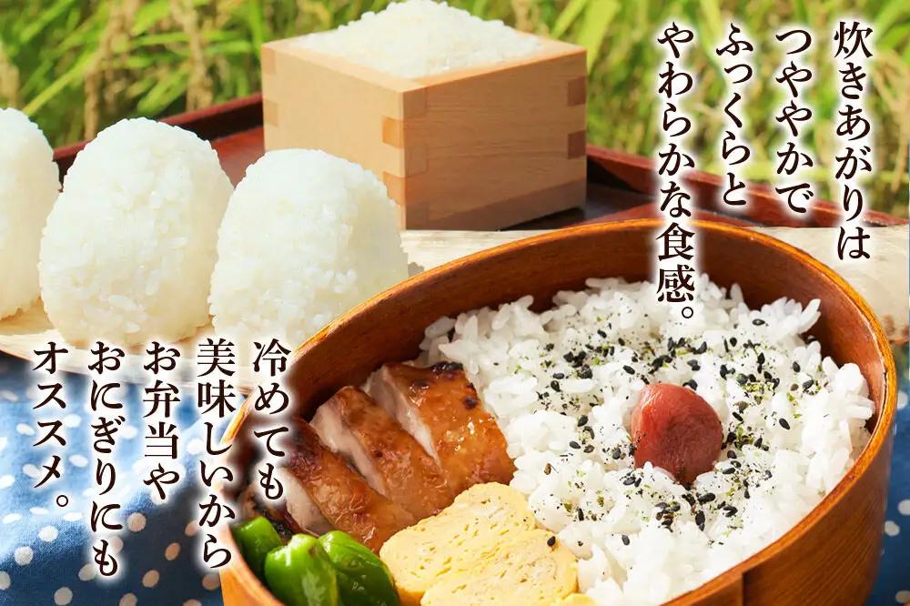 《令和7年産》《定期便8ヶ月》 米 あきたこまち 5kg 【玄米】 秋田県産