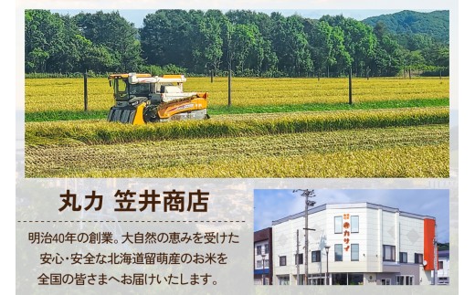 北海道 留萌管内産 ゆめぴりか 5kg 特A おいしい 産地直送 精米 白米 お米 米 ごはん 国産 甘い 北海道産 R004-002