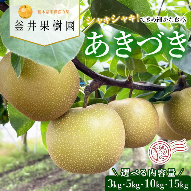 【ふるさと納税】【選べる内容量】あきづき ｜ 栃木県産 宇都宮市 梨 なし あきづき フルーツ 果物 旬 産地直送 ※離島への配送不可 ※2025年9月中旬頃より順次発送予定