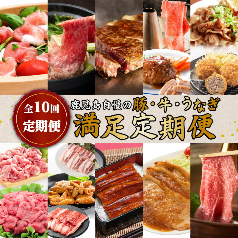 【 全10回 定期便 】鹿児島 自慢の 豚 ・ 牛 ・ うなぎ 「 満足 定期便 」 鹿児島市 鹿児島県産 九州 黒豚 黒毛和牛 うなぎ ロースステーキ ハンバーグ 生ハム 黒豚ソーセージ ソーセージ すき焼き しゃぶしゃぶ 切落し カルビ 味噌 ホルモン 肉