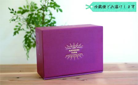 【2616-0444】岡山 花笑み農園『BKシードレス』約2kg贈答用(3房から4房) B-2上