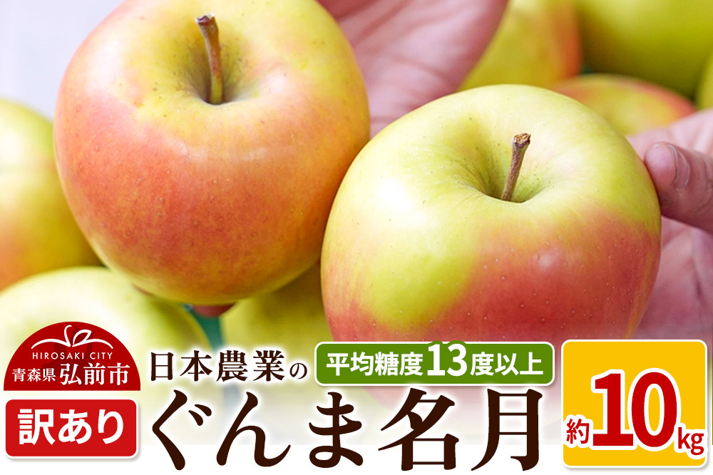 りんご 【先行受付】平均糖度13度以上！ ぐんま名月 約10kg 訳あり