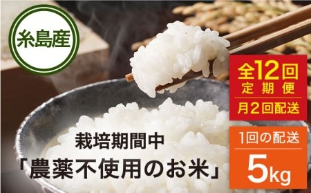 【全12回（月2回）定期便】栽培期間中 農薬不使用のお米 ヒノヒカリ 5kg 糸島市 / シーブ [AHC058] お米 5kg 送料無料 ギフト おこめ 5キロ 特別栽培米