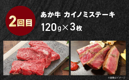【全3回定期便】【GI認証】くまもとあか牛 食べ比べ E トモサンカク カイノミ リブロース【有限会社 三協畜産】[YCG142]