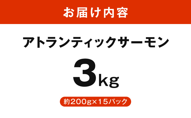 アトランティックサーモン 3kg【小分け 200g×15P 柵切り 刺身 魚介 海鮮 さーもん 生食】 G3554