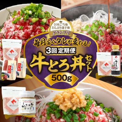 ふるさと納税 清水町 【3回定期便】毎月付属のタレが変わる!?受賞歴多数!牛とろ丼セット500g