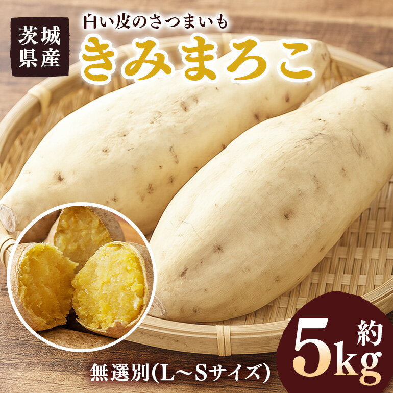 【ふるさと納税】 さつまいも きみまろこ 約5kg 無選別(L～Sサイズ) 茨城県産 卵 黄身 肉色 まろやか 口当たり 焼き芋 お菓子 白い皮のさつまいも 自然の甘み スイーツ 野菜 サツマイモ 茨城県 潮来市 (A52-006)