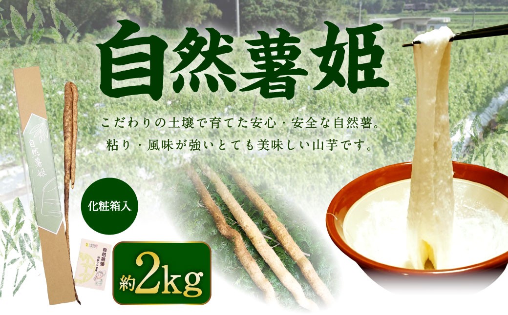 
            自然薯姫 （青果） 約2kg 【発送不可期間:毎年4月下旬-11月上旬】
          
