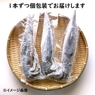 【便利な個包装】朝とれスルメイカ　3杯セット(3杯×200〜300g)750g前後　高鮮度3D凍結　【配送不可地域：離島】【1515774】