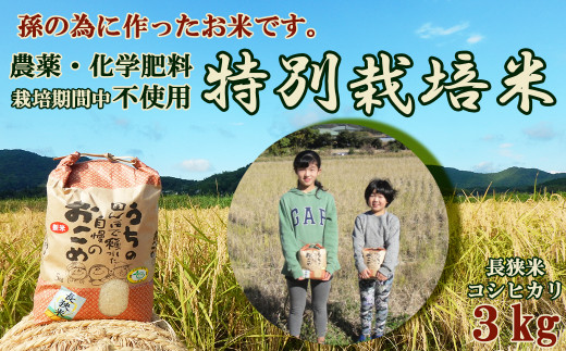 
孫のために作りました！田代農園の『特別栽培米』選べる《玄米》《精米》 ３kg　[0010-0159]
