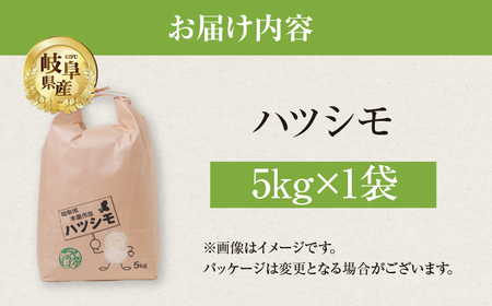 令和6年産 ハツシモ 5kg 米 こめ ごはん 白米 玄米 岐阜県産 本巣市 お米 精米 おにぎり 弁当 さっぱり 旨味 甘い 和食 寿司 岐阜県産 ヤマダライス