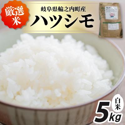 ふるさと納税 輪之内町 輪之内町産　厳選米ハツシモ　白米5kg