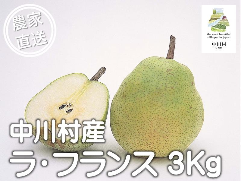 
                  中川村産西洋梨　ラ・フランス　約３Kg
                