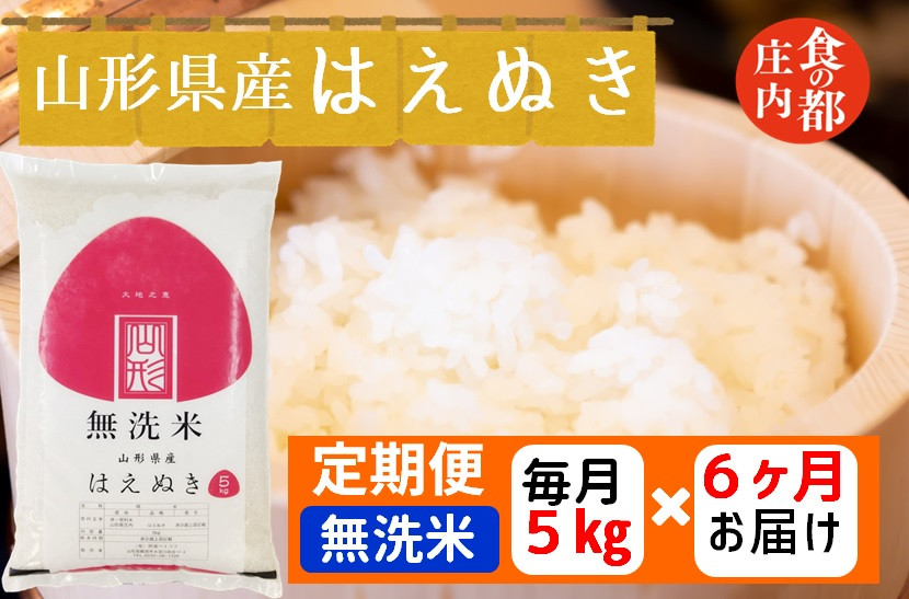 
食の都庄内　【定期便6回】無洗米　山形県産はえぬき5kg×6回　計30kg
