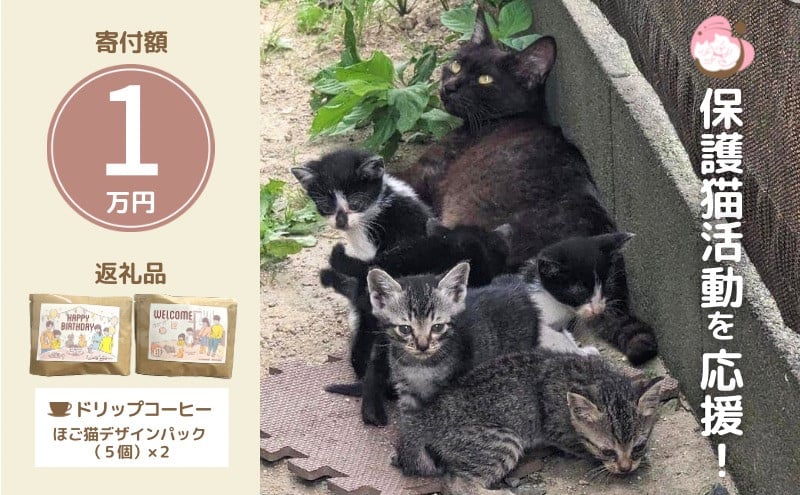 
                  ドリップコーヒー さくらねこサポートOGORI 保護猫活動を応援！ コーヒー ドリップパック 10袋入り 珈琲 飲料
                