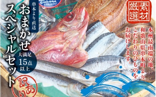 干物 訳あり 干物セット 15点以上 おまかせ / 干物 個包装 大容量 ひもの 一夜干し 魚 詰め合わせ 訳あり【ozk103A-1】
