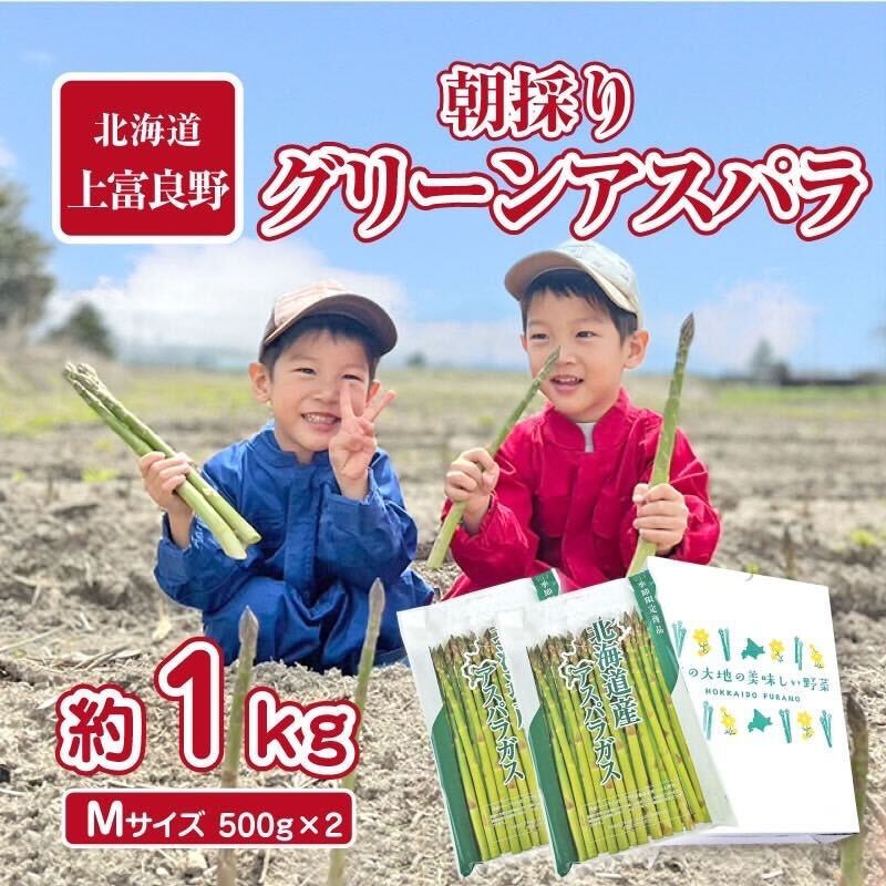 【ふるさと納税】選べる 容量 アスパラガス 1kg/2kg （Mサイズ）【2026年分先行予約】 専門農家 の 特選 グリーン アスパラ 原農園 あすぱら グリーンアスパラ 野菜 北海道 上富良野町　お届け：2026年5月中旬～6月中旬まで
