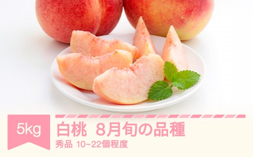 桃 品種おまかせ 8月旬の白桃 秀品 約5kg (10～22個程度) nf-mohtx5-8f