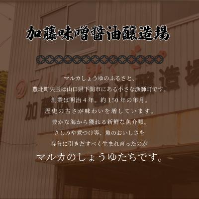ふるさと納税 下関市 さしみ醤油 3リットル 1 × 3本 HY002 |  | 02