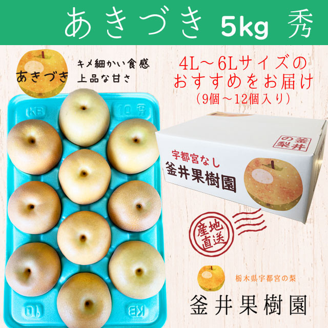 
                  あきづき 5kg 9～12玉 | 栃木県産 宇都宮市 梨 なし あきづき フルーツ 果物 旬 産地直送 ※2026年9月～発送
                