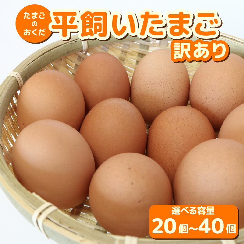 【ふるさと納税】 訳あり 平飼い卵 選べる 20個 30個 40個 | 平飼い たまご 卵 タマゴ 鶏卵 たまごかけごはん 目玉焼き オムレツ 卵かけご飯 たまご焼き おいしい 人気 おすすめ 高知県 南国市