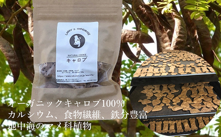 ラリーズカンパニーのワンちゃん用 無添加クッキー10袋（5種類 各2袋）お散歩バッグ付き【ペット用品 犬 】 犬用 愛犬用 犬のおやつ 犬用クッキー おやつ ヘルシー 安心素材 ペットフード 