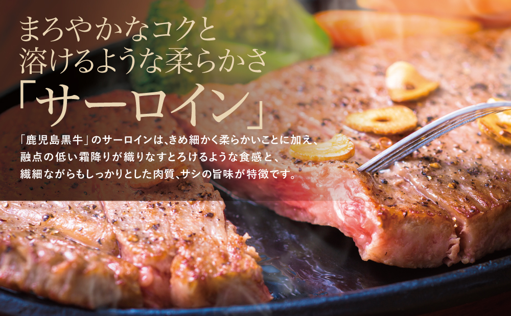 【和牛日本一】5等級 鹿児島黒牛 サーロインステーキ 2枚 計400g（200g×2P） 牛肉 黒毛和牛 焼肉 バーベキュー BBQ 霜降り 肉 お肉 国産 鹿児島県産 冷凍 JA食肉かごしま ギフト