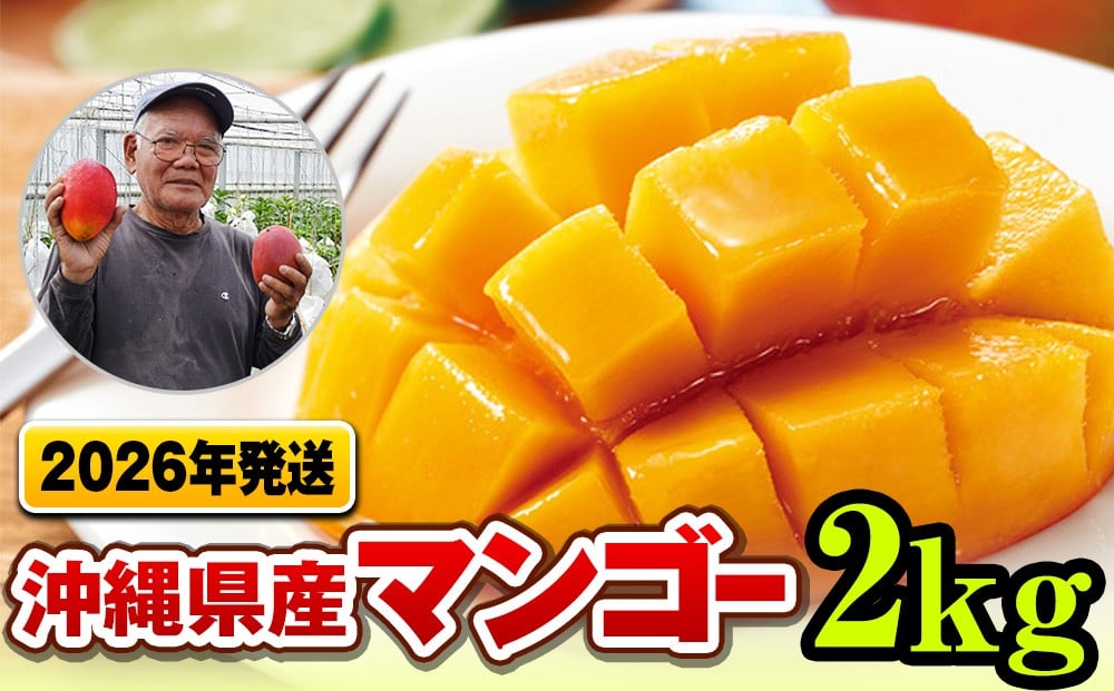 
            【2026年発送】濃厚な甘さ！とろける食感！沖縄県産マンゴー2kg
          