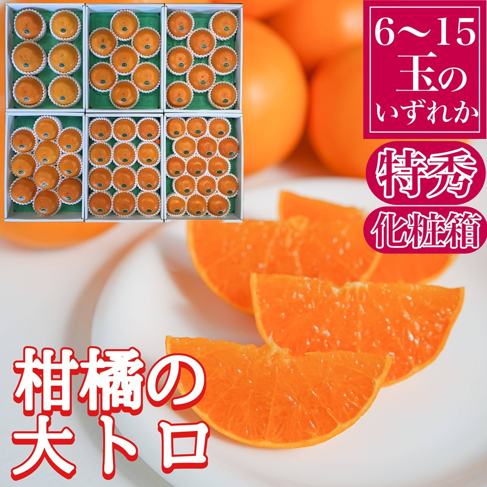 定期便 旬の有田産かんきつ味わい セット 全4回 お届け 南泰園