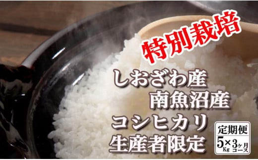 【令和7年産】【定期便：5Kg×3ヶ月】特別栽培 生産者限定  南魚沼しおざわ産コシヒカリ【2025年10月上旬より順次発送予定】