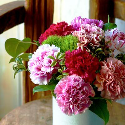 ふるさと納税 酒田市 「スイート10カーネーションアレンジ 」10本に込めた特別なありがとうを贈る母の日ギフト |  | 01