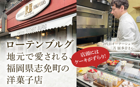 シュトーレン 小 × 2本 シュトレン スパイス控えめ 1本約100～120g 約11cm×5.5cm ドライフルーツ ナッツ 菓子 お菓子 焼き菓子 パン スイーツ デザート クリスマス バター 粉
