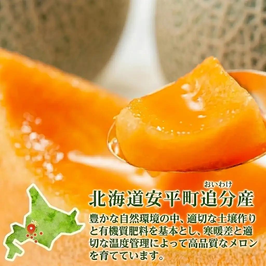 ＜残りわずか＞　追分アサヒメロン 秀品 2玉(5玉サイズ)  赤肉メロン 国産 北海道 安平町