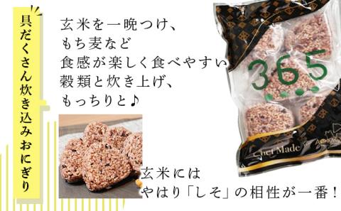 簡単・便利 3種のごちそうおにぎりセット【02402-0258】