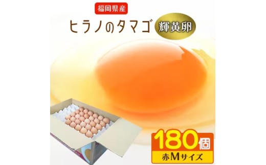 ボリュームサイズ！ ヒラノのたまご 輝黄卵(きおうらん) 赤Mサイズ　180個 ｜ 割れ保証込み 卵 たまご タマゴ  国産 新鮮 直送 輝黄卵 朝ごはん 卵かけごはん 福岡県 筑前町