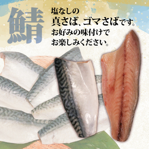 サバフィレ 800g ( 400g×2袋 ) | 鯖 サバ さば 無塩サバ 魚 魚介 冷凍 国産 焼き物 焼きサバ 真サバ ゴマさば 煮物 ご飯のお供 1万円 10000円 三陸産 岩手県 大船渡市