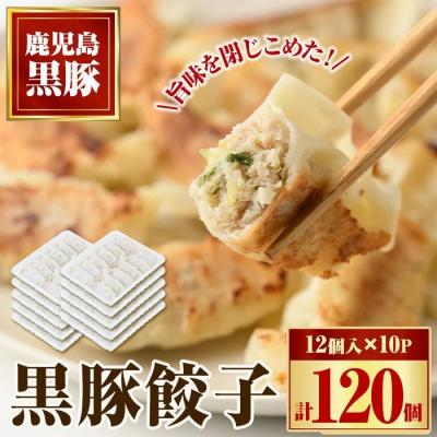 ふるさと納税 肝付町 黒豚餃子セット(12個入×10パック)　A02046