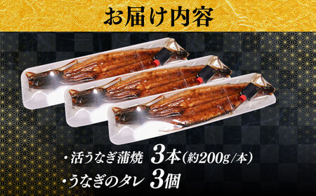 【うなぎの美味しさはタレで決まる！】自慢の味・国産活うなぎ蒲焼（3本入）| うなぎ タレ 蒲焼 国産 美味しい うな丼 鰻重 魚 島根県雲南市/有限会社石田魚店[AICQ009]