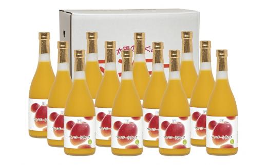 G-K2 【定期便・全4回】驚きの果実感！マンゴードリンクセット(720ml×12本)×4回【宮崎果汁】