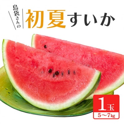 【2025年5月〜6月頃の発送】島袋さんの夏スイカ大玉 1玉(5.0〜7.0kg)【配送不可地域：離島】【1577669】