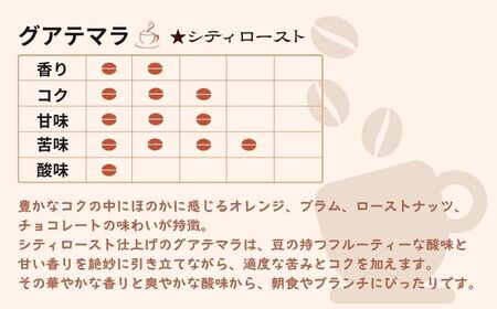 グアテマラ テトラパック20P 10g×10P 2袋 コーヒー 珈琲 コーヒー 珈琲