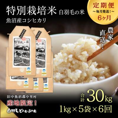 ふるさと納税 十日町市 【毎月定期便】農家直送!魚沼産コシヒカリ特別栽培 精米(1kg×5袋)全6回