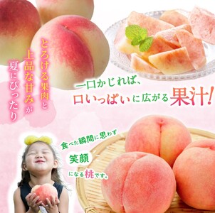 桃 もも 桃 旬 おまかせ 5～6玉入り 秀品【S058-mtgn043】