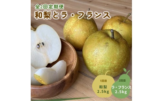 【定期便：全２回】和梨とラ・フランス　各２.５ｋｇ　0012-2608