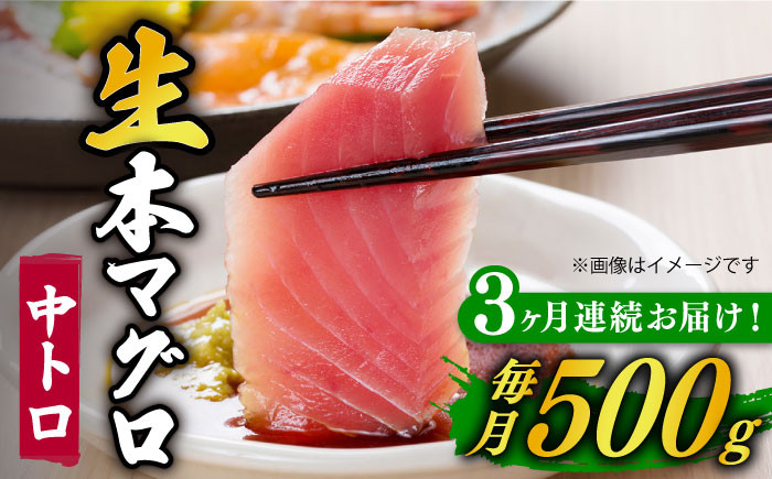 
【全3回定期便】【ながさき水産業大賞受賞！！】 五島列島産 養殖 生本かみまぐろ 中トロ ブロック 500g【カミティバリュー】 [RBP064]
