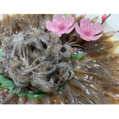 ふるさと納税 富山県 富山湾産ほたるいか　ボイル&刺身・素干しセット |  | 02