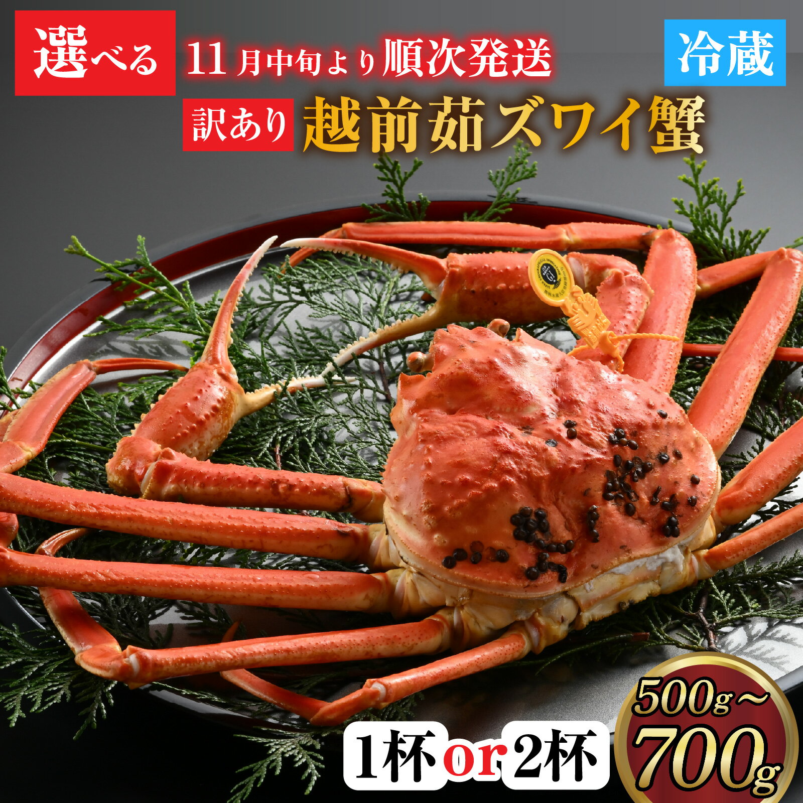 【ふるさと納税】【先行予約】[捌き済選択可][到着日指定可]【訳あり】蟹好きが唸る老舗カニ料理店の越前茹ズワイ蟹 小サイズ(500g～700g)1杯or2杯 【11月中旬より順次発送】 [F-085040] / カニ かに かにボイル かにみそ 越前ガニ ズワイガニ ずわい蟹 ズワイガニ 姿 福井